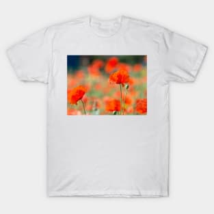 Field of poppies T-Shirt